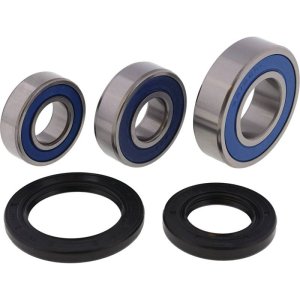 Yamaha FZ07 Wheel Bearing Kit - Rear - All Balls Racing - `15-`17